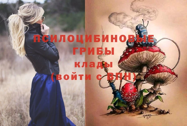 метадон Медвежьегорск