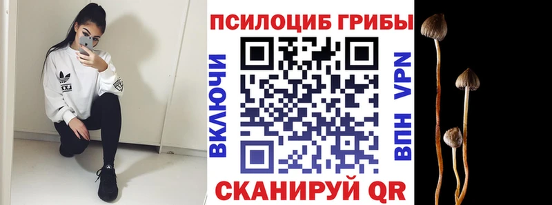 наркошоп гидра ссылки Галлюциногенные грибы MAGIC MUSHROOMS Беломорск
